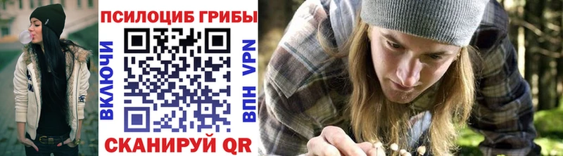 Галлюциногенные грибы Psilocybe  Купить где  Приволжск 