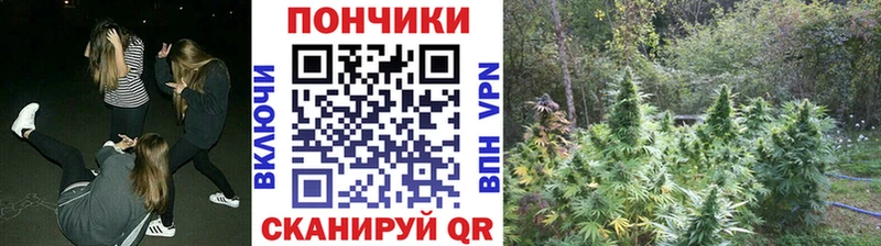 Бошки Шишки конопля  Купить где  Приволжск 